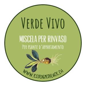 Verde Vivo, Miscela per Rinvaso